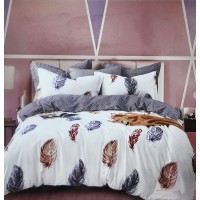 Feather Design  3D Printed Pure Cotton King Size Bedsheet With 2 Pillow Covers Set For Double Bed